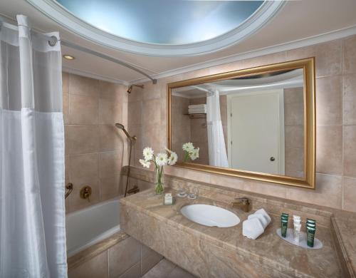 クイーン オブ シバ エイラト ホテル 写真