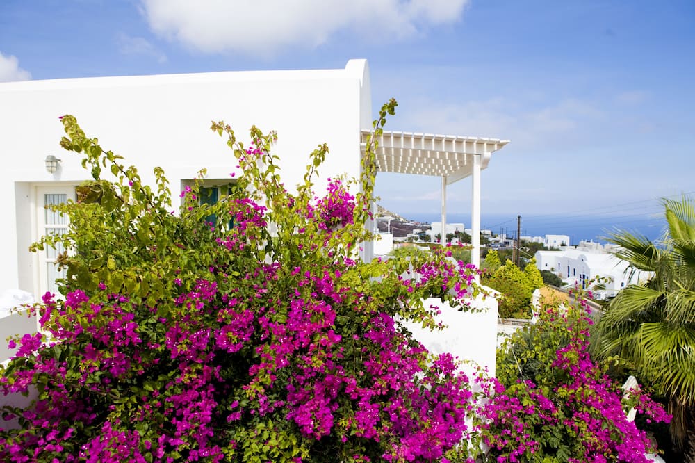 メリメリ ホテル 写真