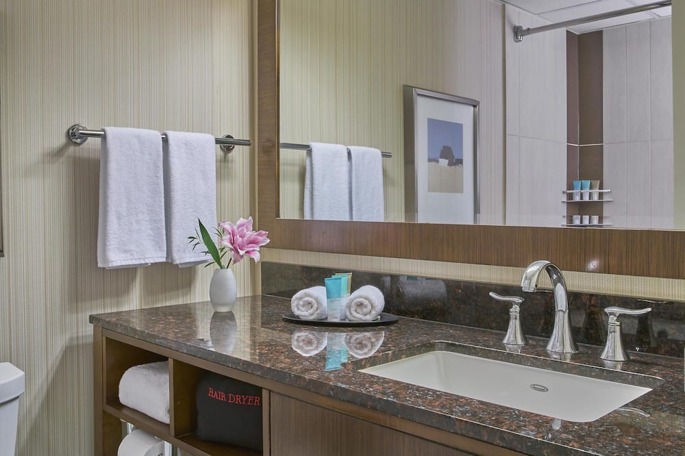 ハイアット リージェンシー ミルウォーキー 写真