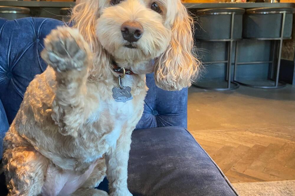 グラビティ ハウス ウィンター パーク 写真