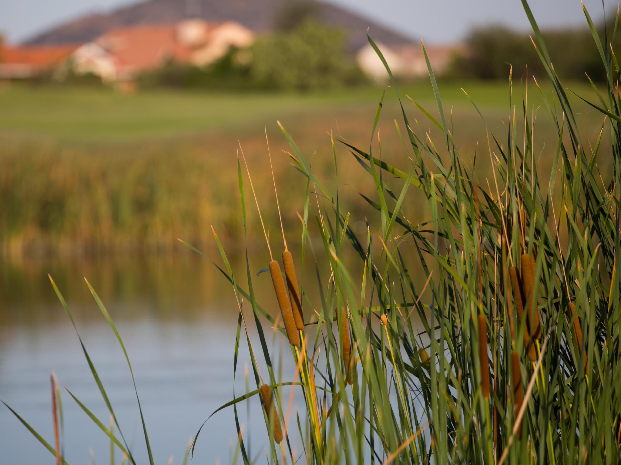 パーカレーン ゴルフ エステート ホテル リゾート 写真
