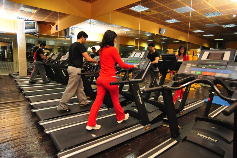 ホライゾン レッドシー 写真