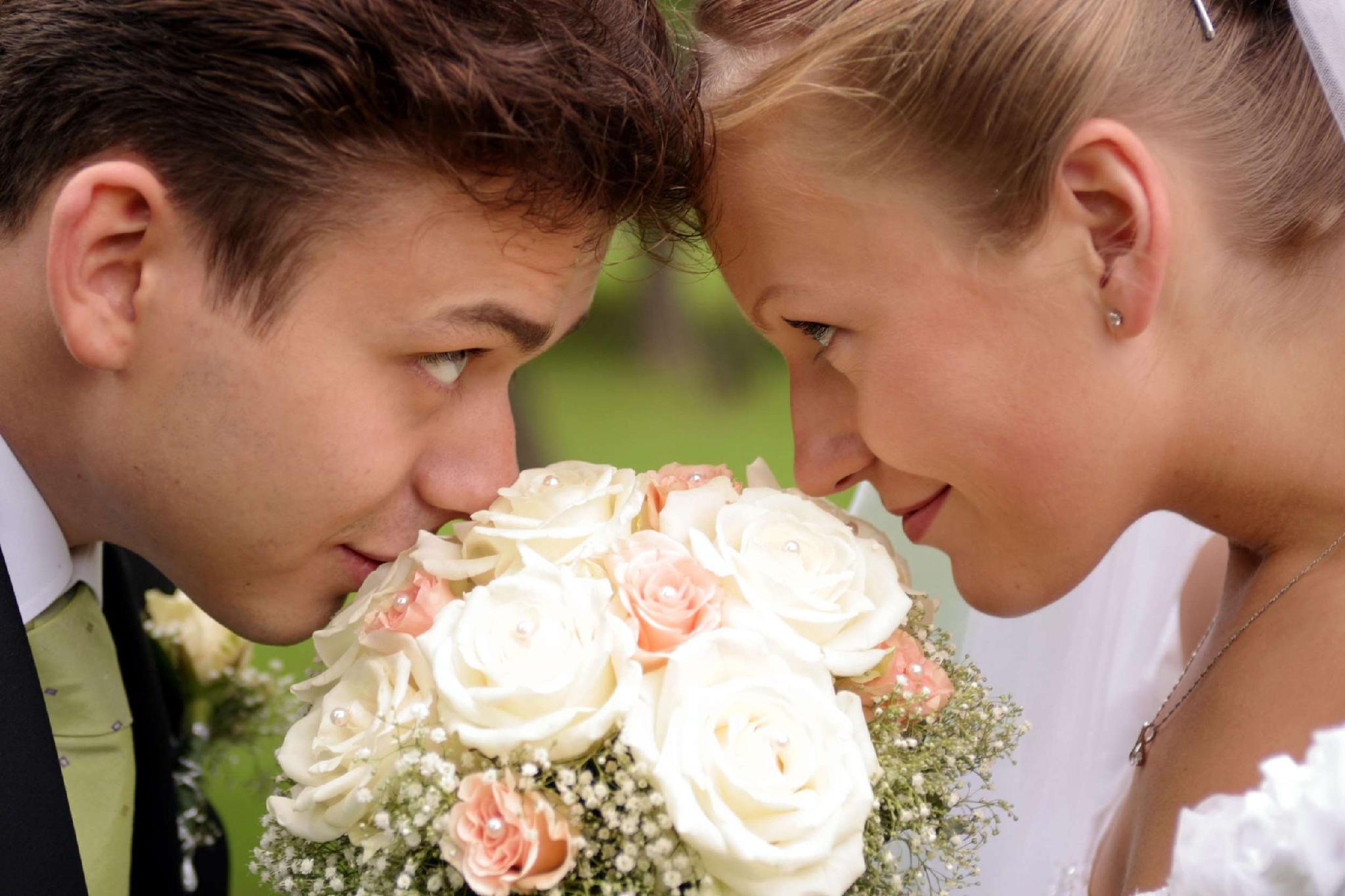 ハンプトン イン&スイーツ ナッシュヴィル ヴァンダービルト エリストン プレイス 写真