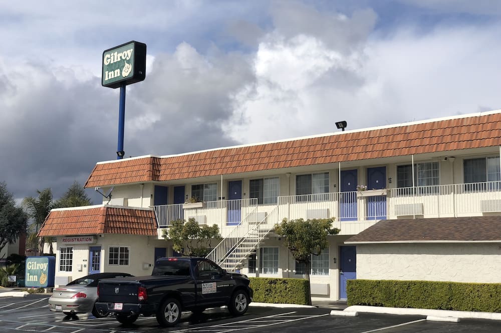 ギルロイ イン 写真