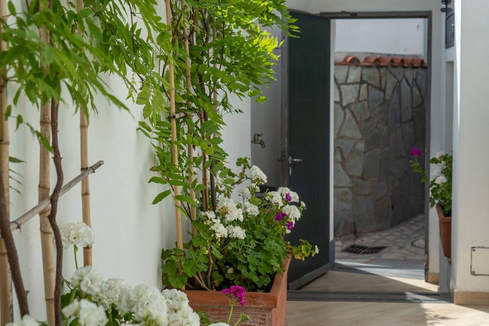 カプリ ドリーミング 写真