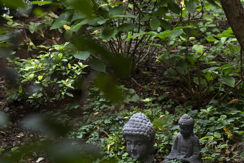 ホテル コロンビア 写真