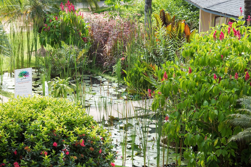 ホテル アリセイ 写真