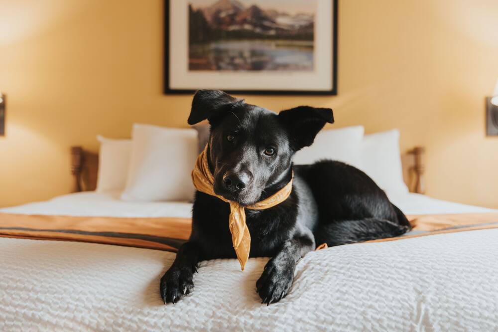 グラウス マウンテン ロッジ 写真