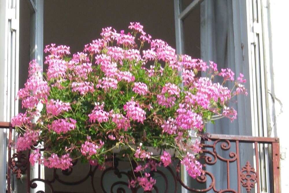 ホテル サン ジャン 写真