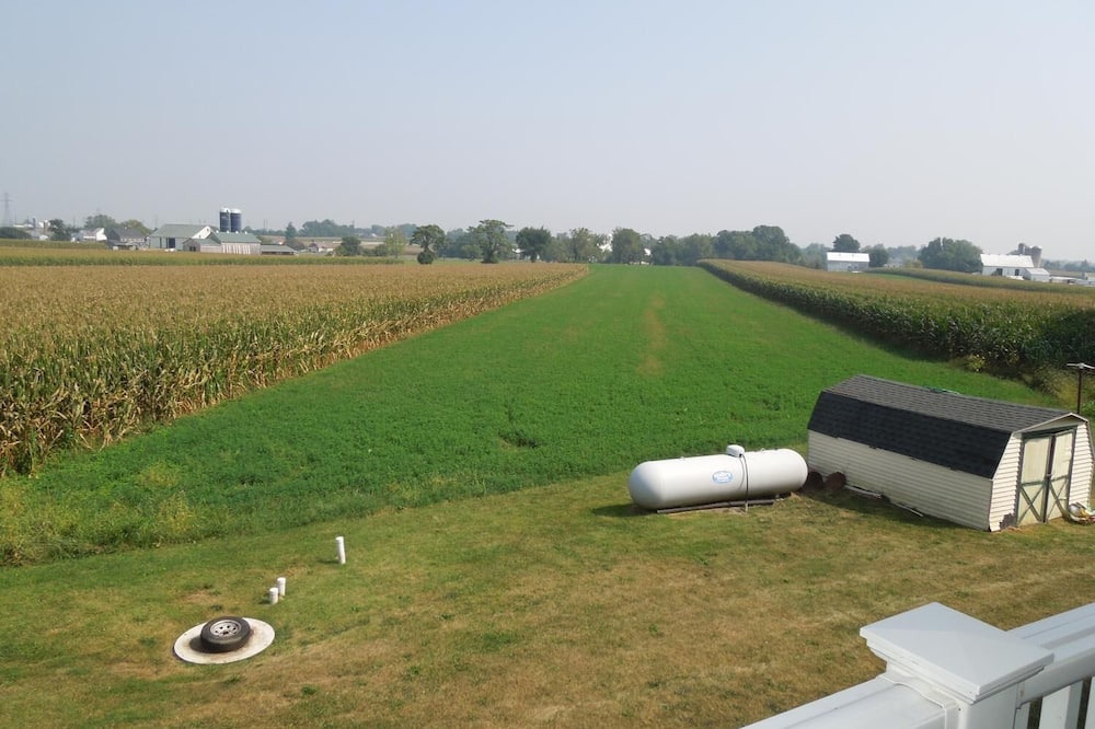 スコティッシュ イン ロンクス 写真