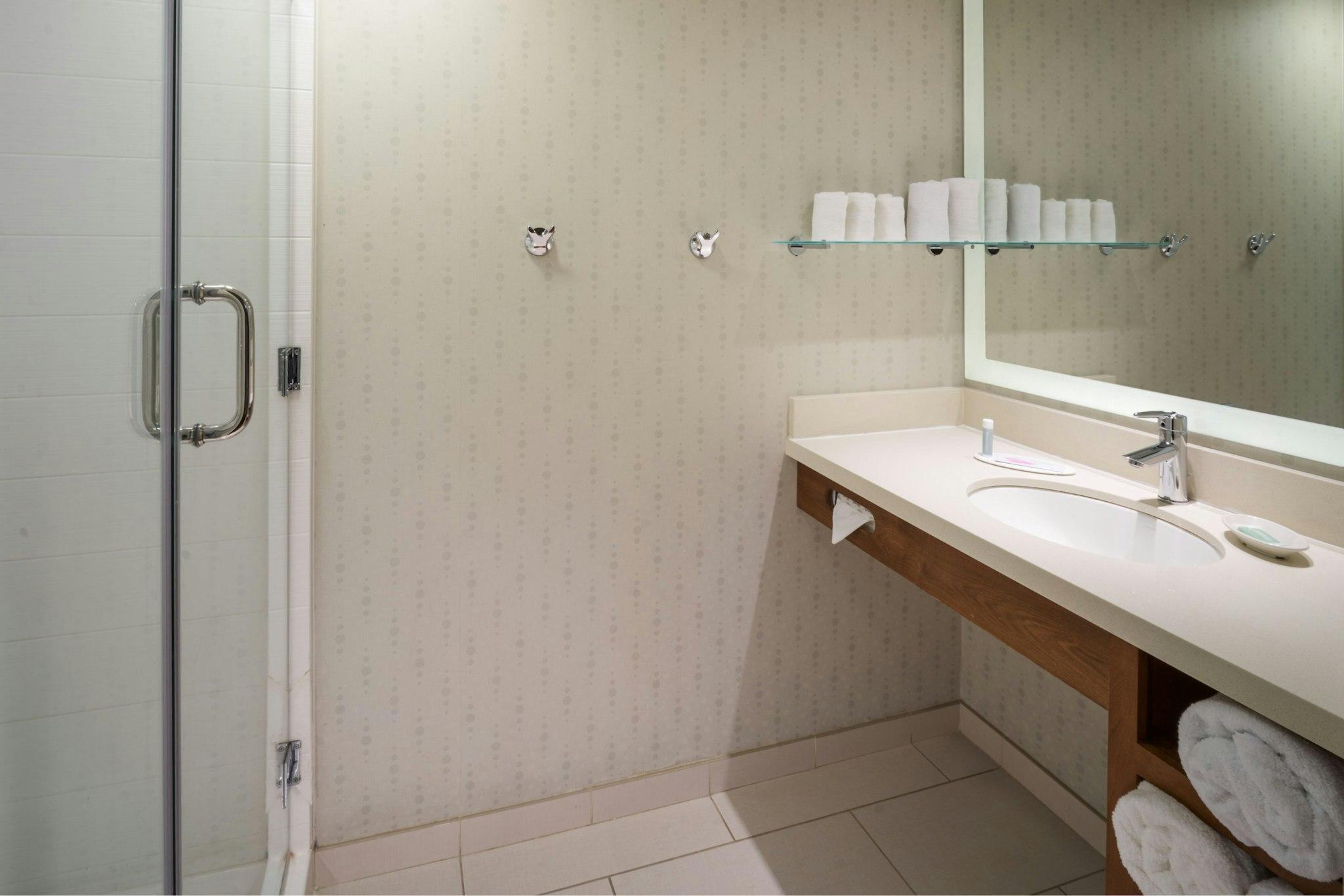 SpringHill Suites by Marriott Philadelphia Airport/Ridley Park 写真