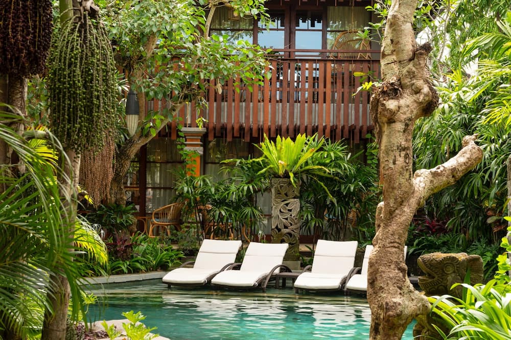 アディワナ モンキー フォレスト 写真