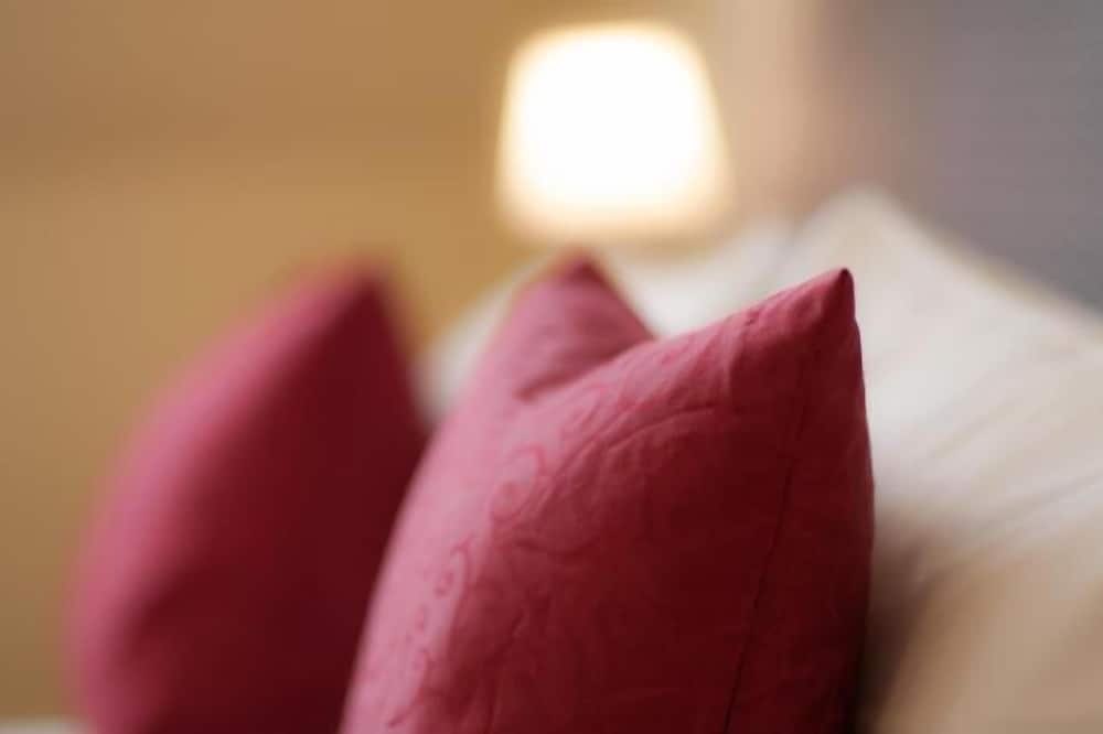 ゲストハウス ハイデルベルク 写真