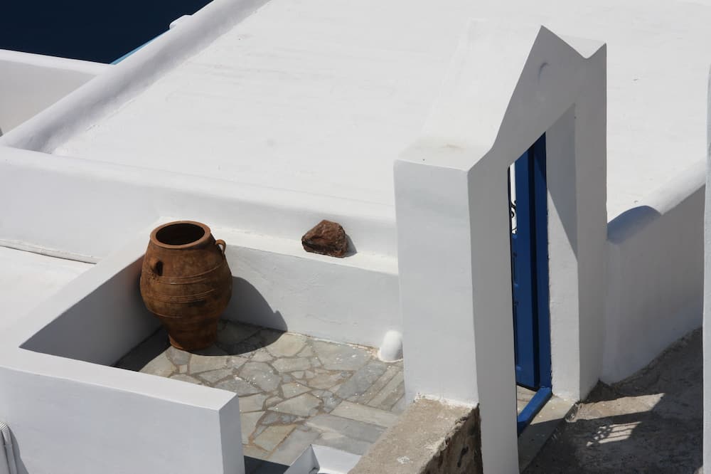 ヘリオトポス 写真