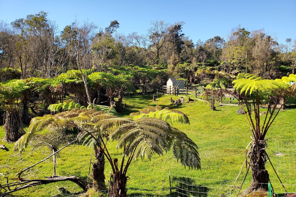 ボルケーノ エーカーズ ランチ B&B 写真