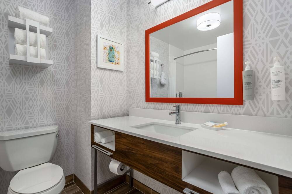 ハンプトン イン & スイーツ マンシー 写真