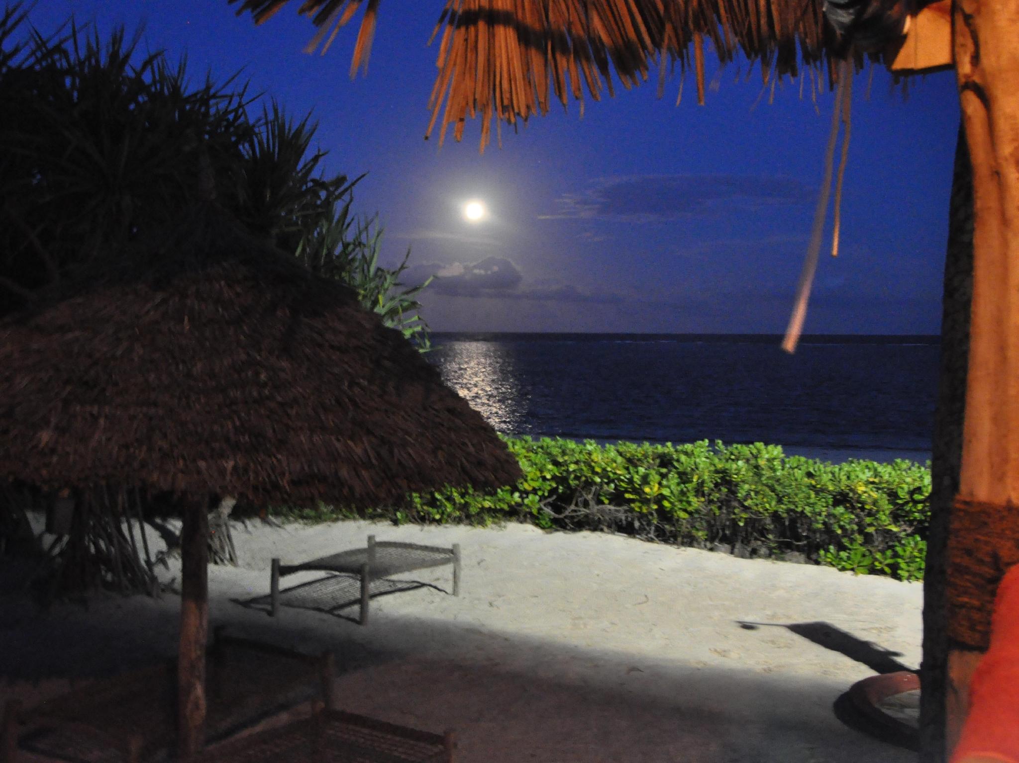 ヴィラ キヴァ ブティック ホテル 写真