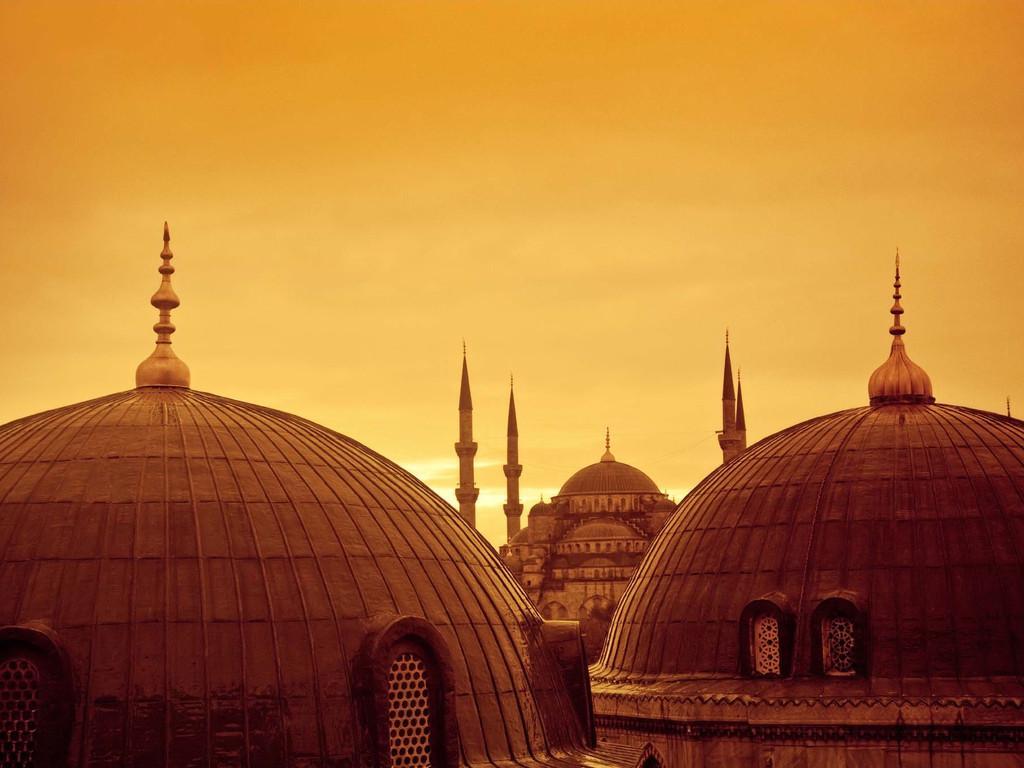 ヴァリデ スルタン コナギ 写真