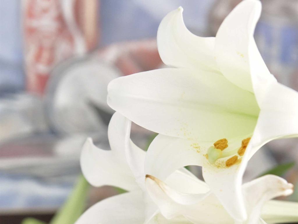 24 Ward Avenue 写真