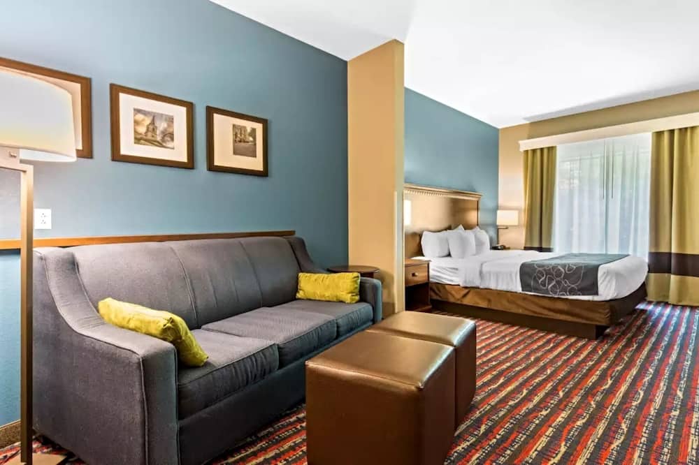 コンフォート スイーツ フェアビュー ハイツ - セントルイス 写真