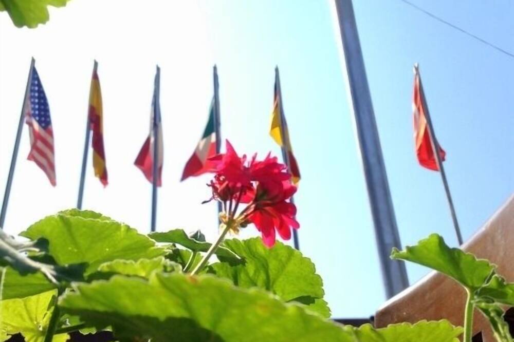 アニル ホテル 写真