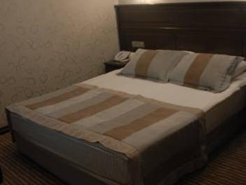 アンカラ ゴールド ホテル 写真