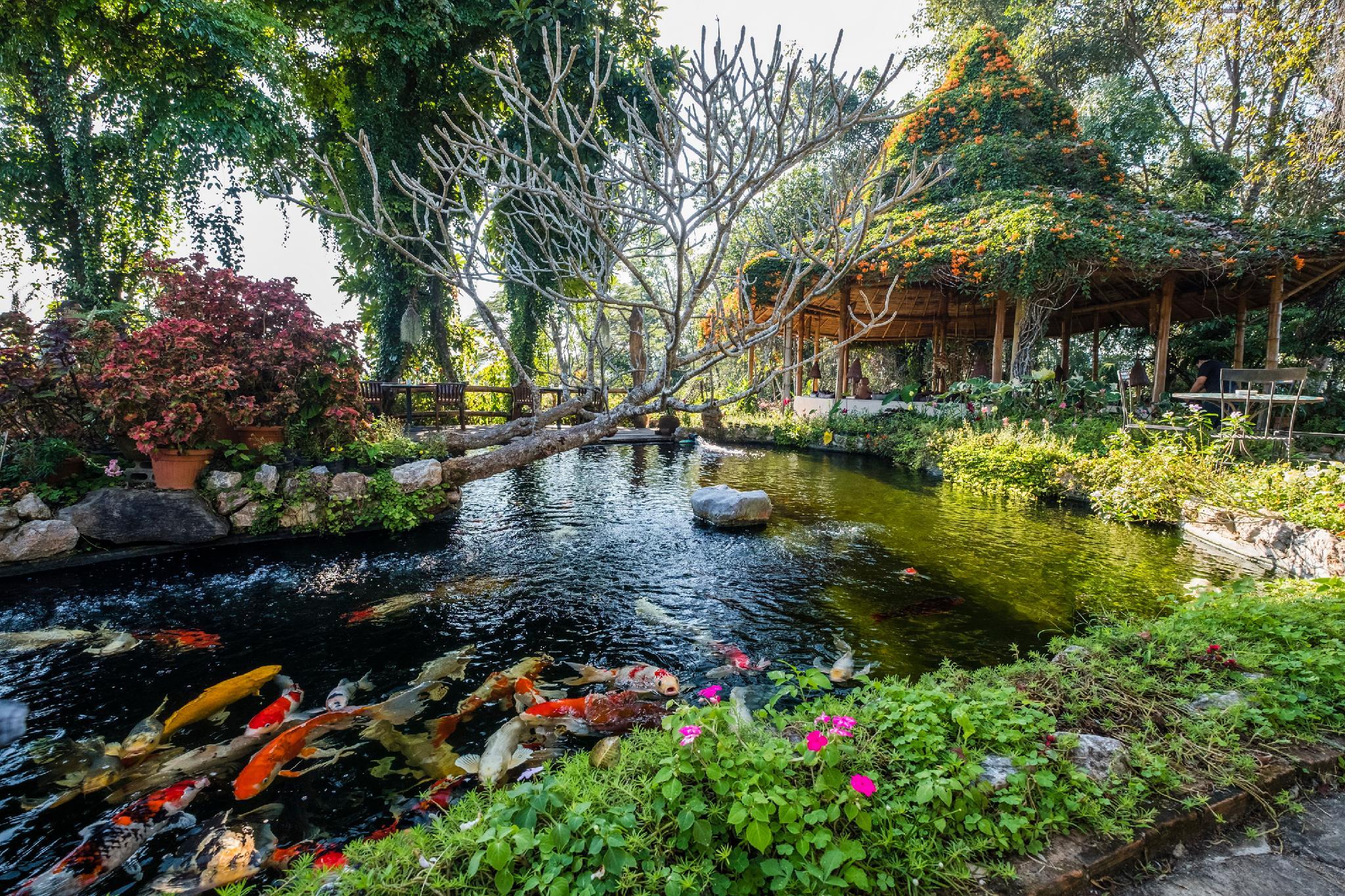 プーチャイサイ マウンテン リゾート 写真