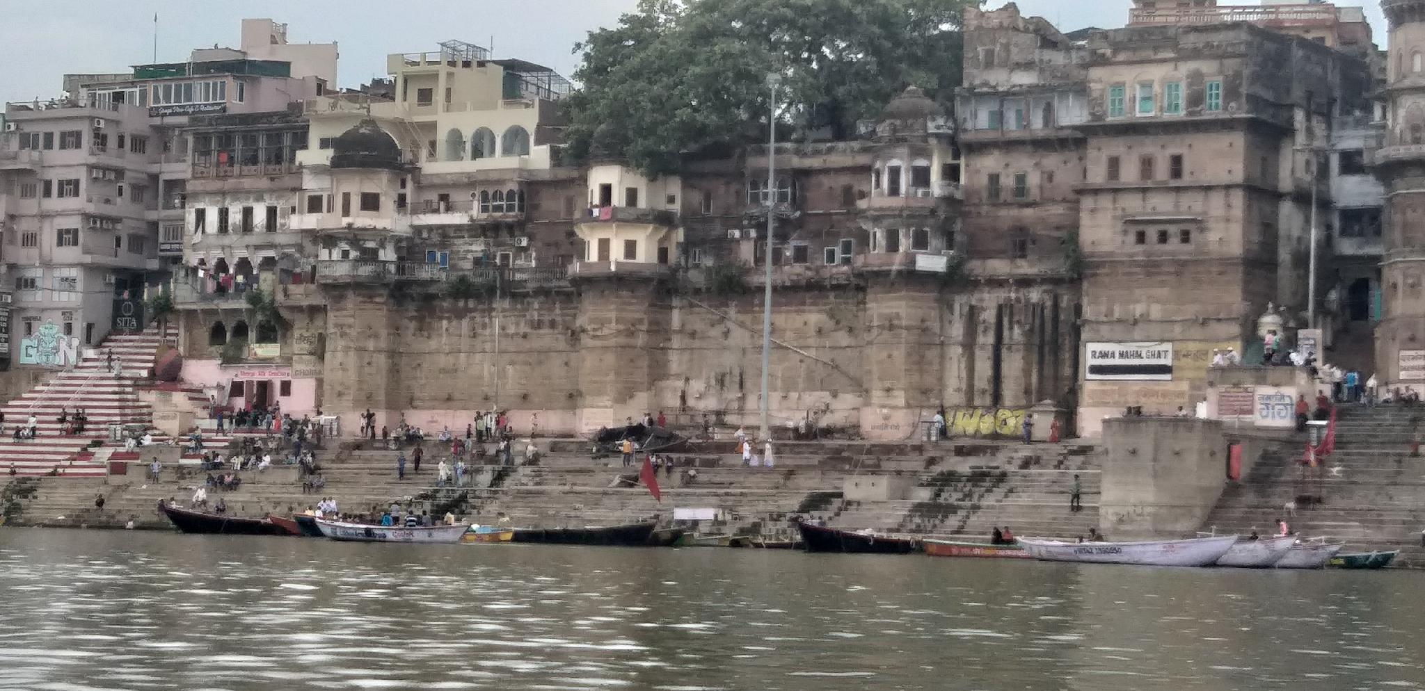 パレス オン ステップス 写真