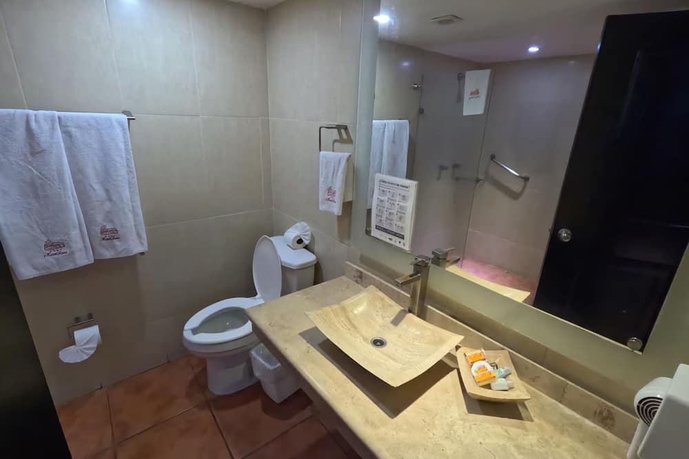 Hotel Roma Guadalajara 写真