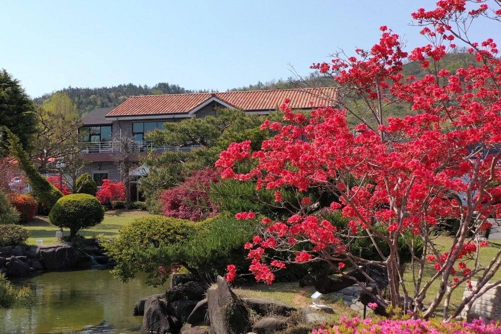 Boseong Wangsile pension 写真