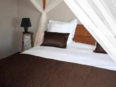 パーム ビーチ 写真