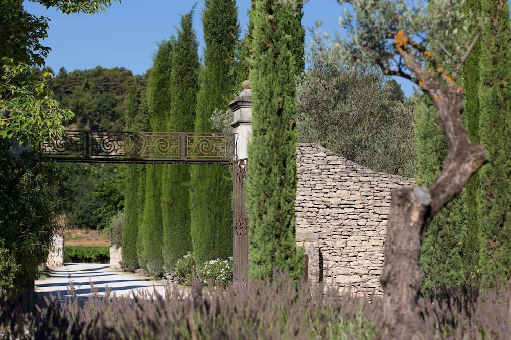 オステルリー ル ロワ ソレイユ 写真