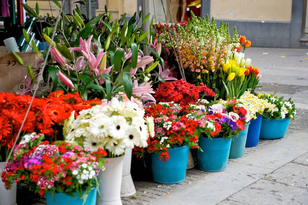 メルキュール パレモ セントロ 写真