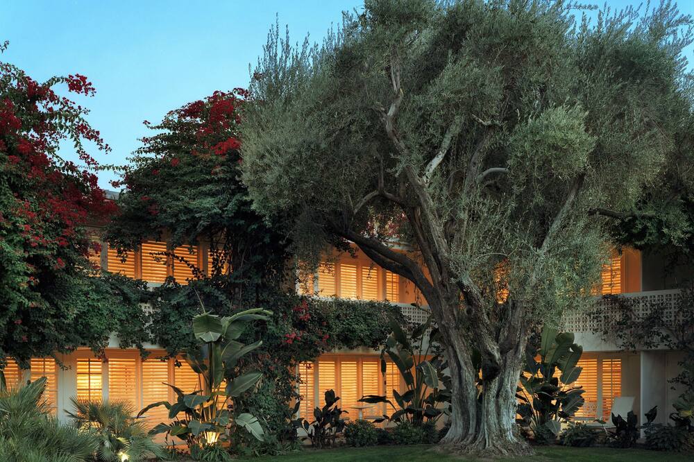 パーカー パーム スプリングス 写真