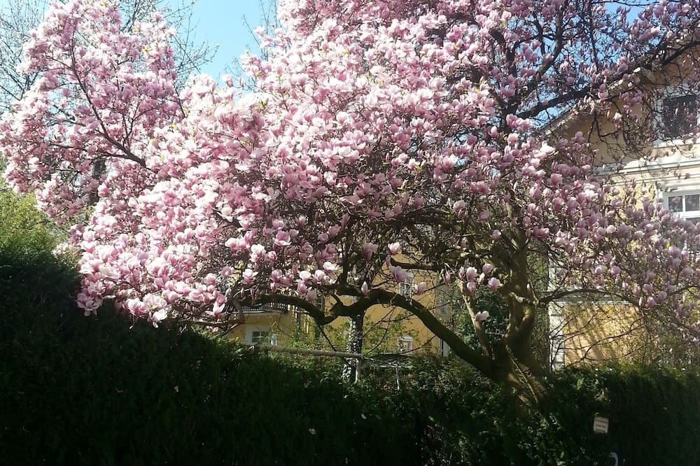 ホテル ホヘンスタッフェン 写真