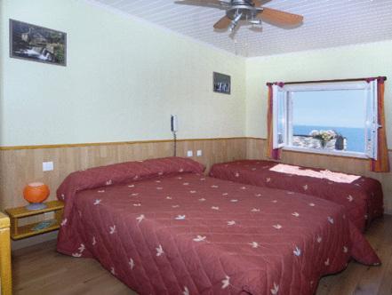 ホテル レストラン ユー パトリアク 写真