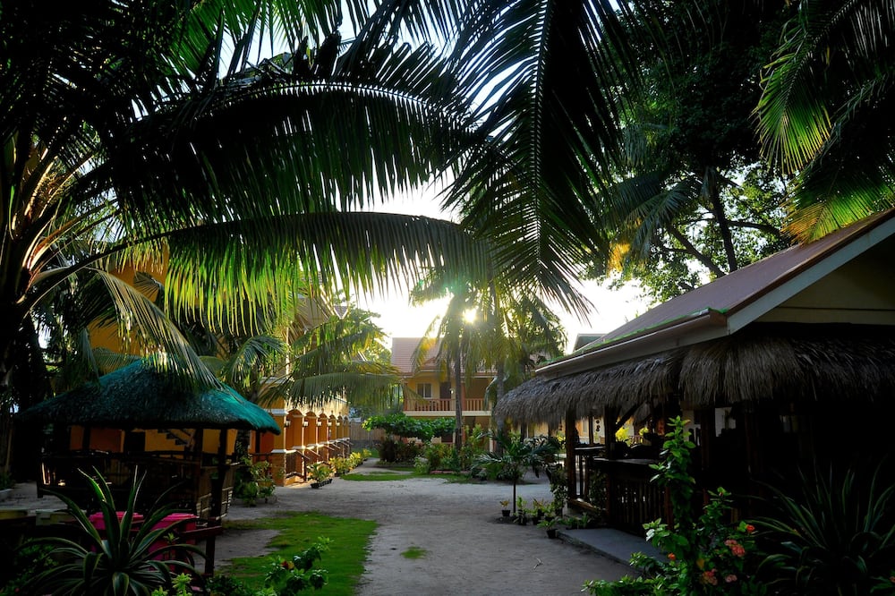 スラムズ ガーデン ダイブ リゾート 写真