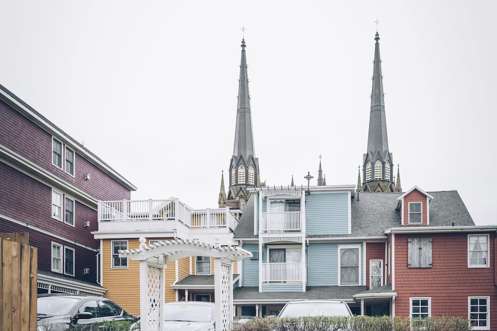 ザ グレート ジョージ 写真
