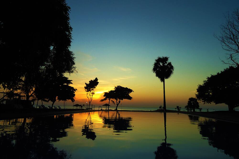 トリンコ ブルー バイ シナモン 写真