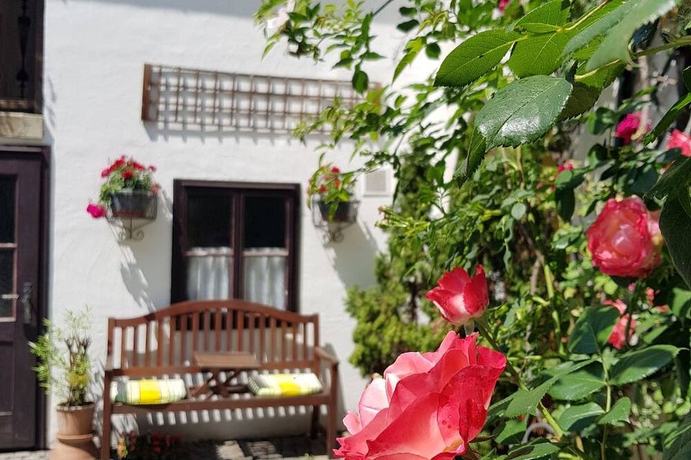 ホテル レジデンツ シュランネンホーフ 写真