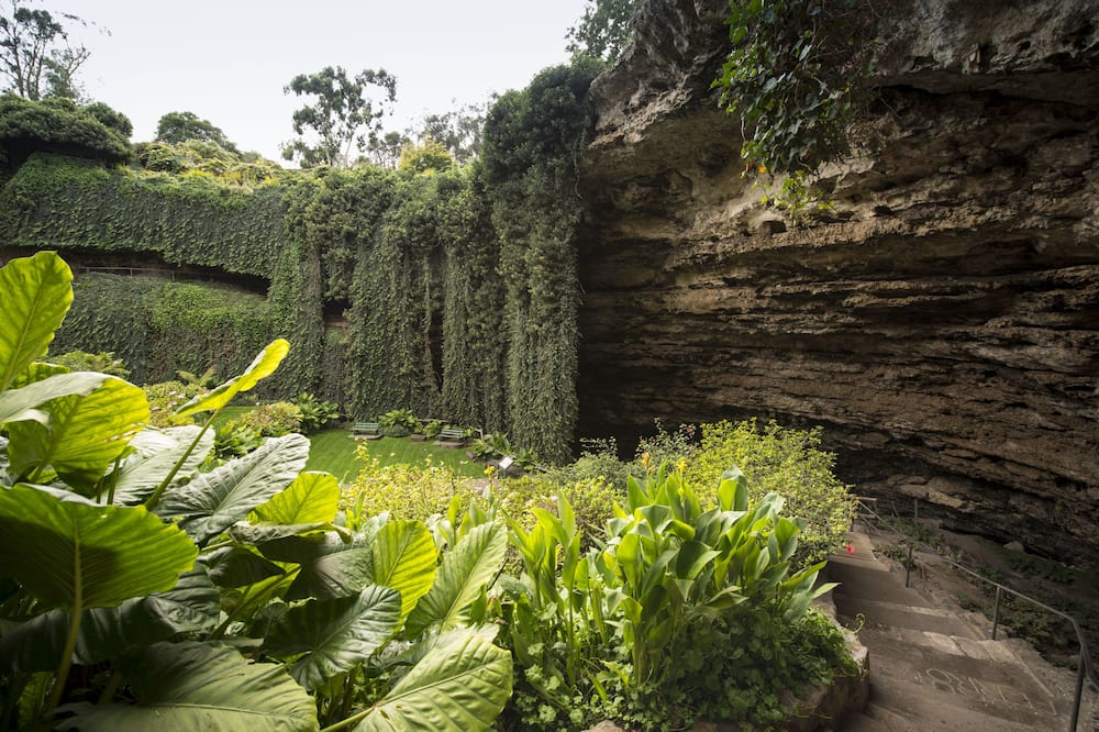 ライムストーン コースト ツアリスト パーク 写真