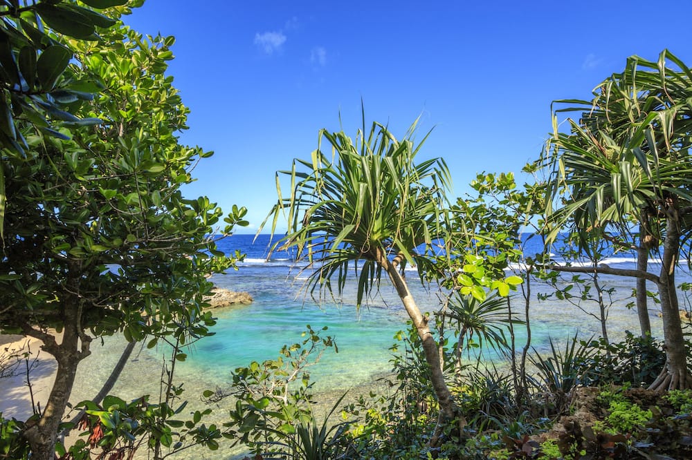 サバシ アイランド リゾート 写真