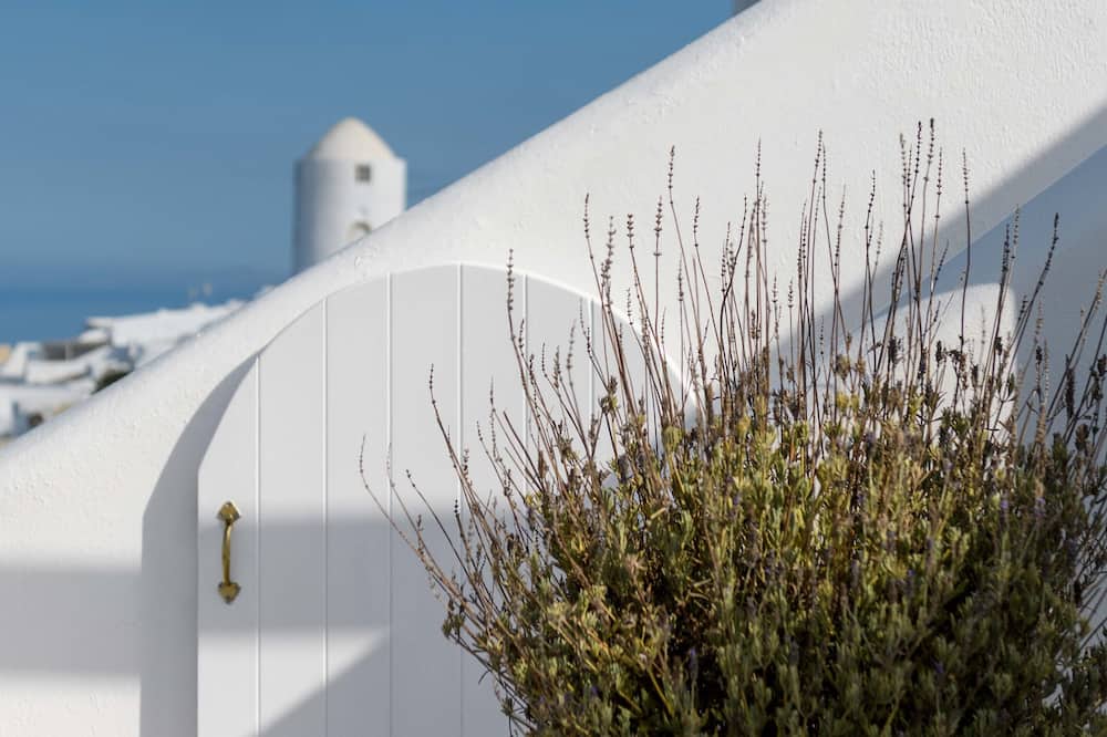 アバブ ブルー スイーツ 写真