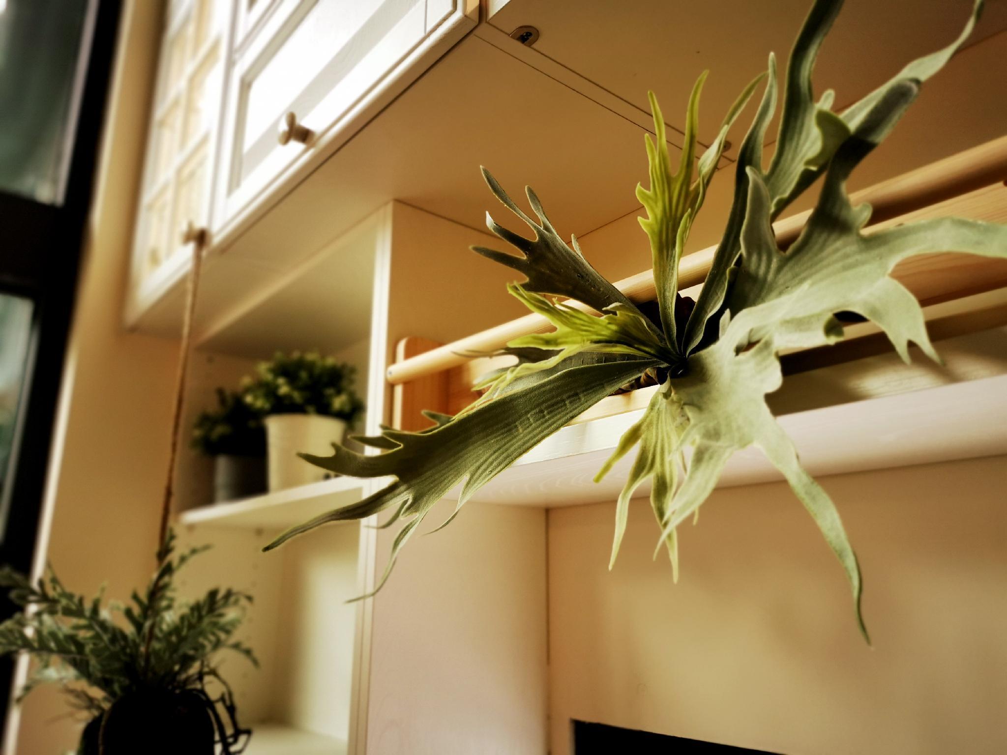 ブルーウォーター ホテル 桃園 (藍水軽旅) 写真