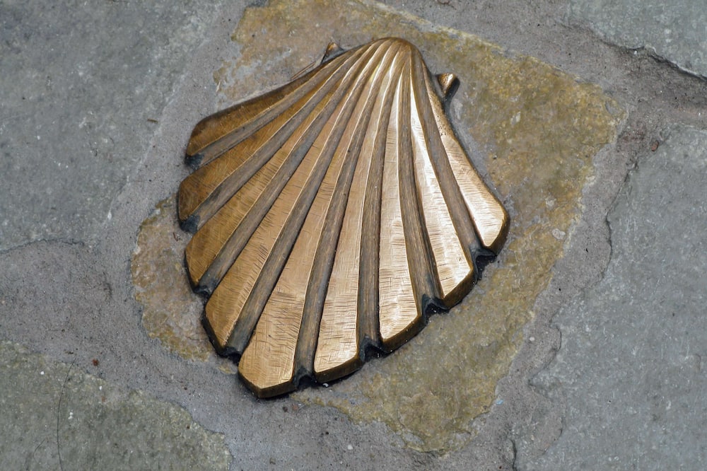 ホテル セントラル レオン カミーノ 写真