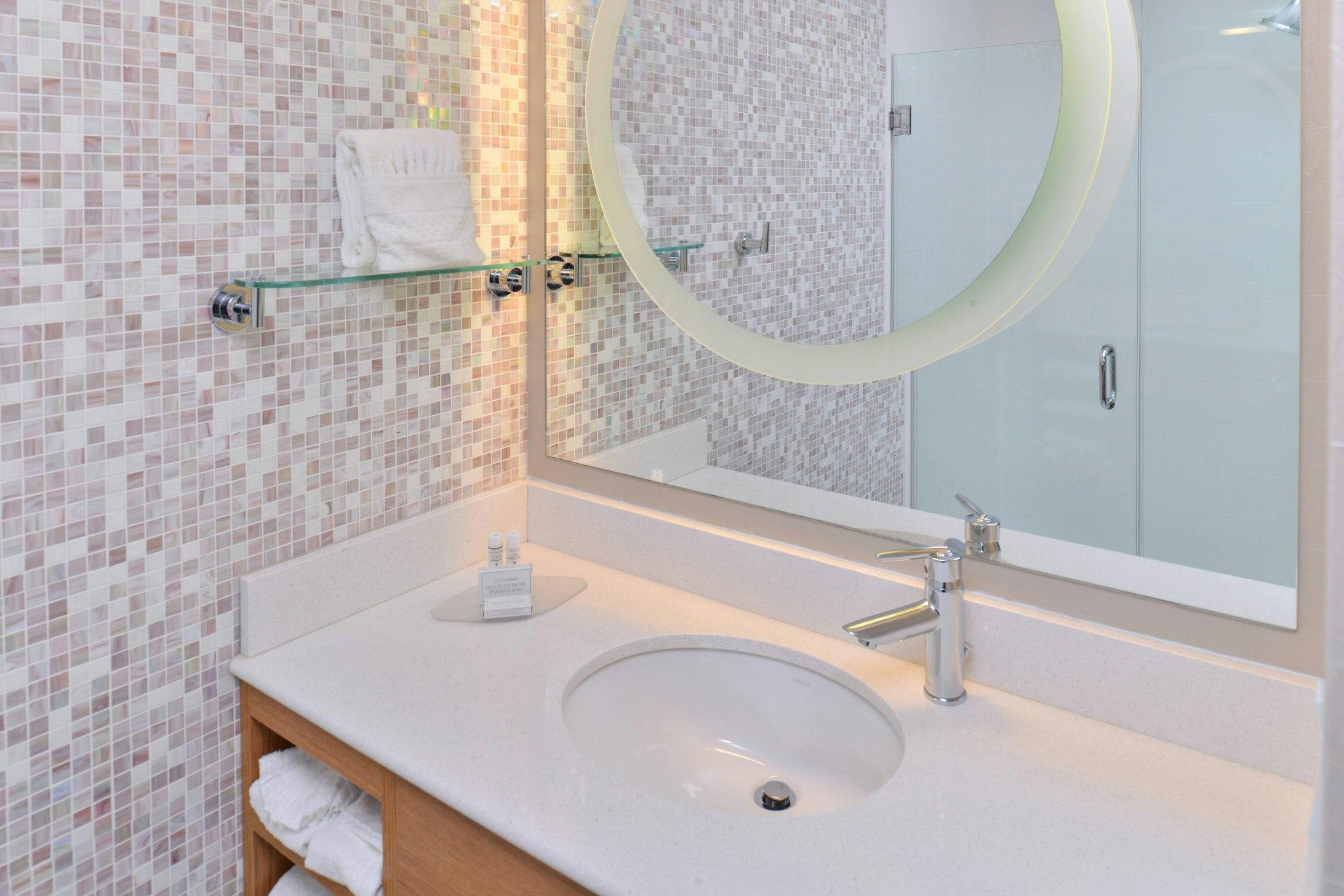 SpringHill Suites by Marriott Detroit Metro Airport Romulus 写真
