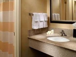 Courtyard by Marriott Atlanta Airport South/Sullivan Road 写真