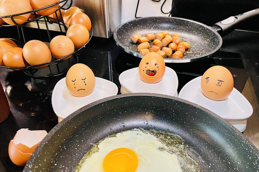 Berlioz Nn Lyon 写真