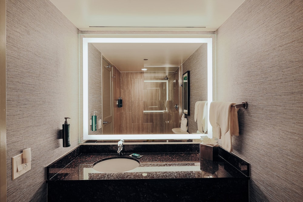 ダブルツリー スイーツ バイ ヒルトン アンド カンファレンス センター シカゴ ダウナーズ グローブ 写真