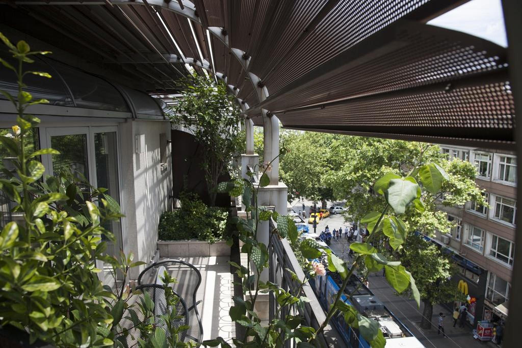 ファロス オールド シティ ホテル 写真